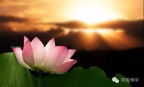 Խ���µ�����Խ���׷�����ԭ���������