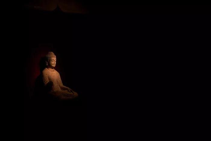 实录_|_一名法医的死亡调查笔记 实录_|_一名法医的死亡调查笔记