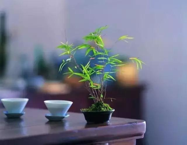 ��Т��ĸ��ѧ��һ�й��£���������