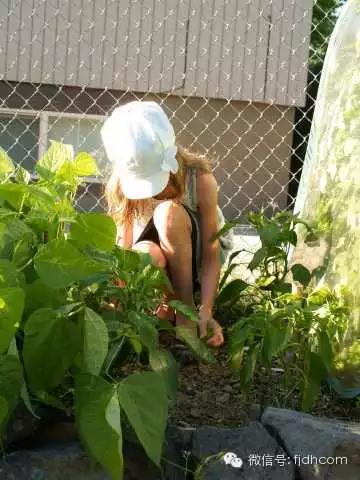 人物_|_她只有9岁,却喂饱了镇上所有的流浪汉,还改变了世界对他们的态度 人物_|_她只有9岁,却喂饱了镇上所有的流浪汉,还改变了世界对他们的态度