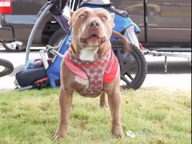 人物_|_她只有9岁,却喂饱了镇上所有的流浪汉,还改变了世界对他们的态度 人物_|_她只有9岁,却喂饱了镇上所有的流浪汉,还改变了世界对他们的态度