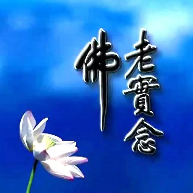 ���߾�������������ǲ���ħ�ϣ�