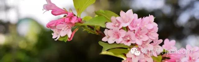 ���ӱ������£����չ��������������ð��ʣ�