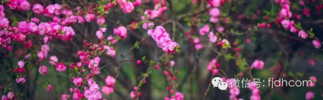 ��ʵ�൱�����������شﵽĿ�ģ�