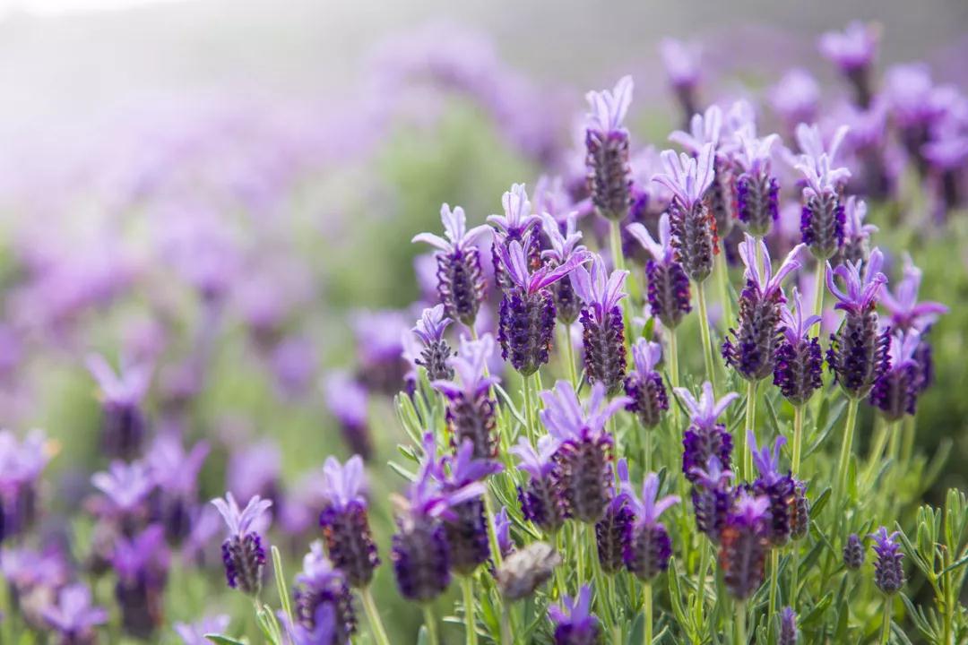 智慧_|_人的气场好,能吸引好事,吸引好运气 智慧_|_人的气场好,能吸引好事,吸引好运气