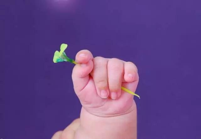 ���_|_ĸ�׼�ֲ���̥��̥������ĸ����