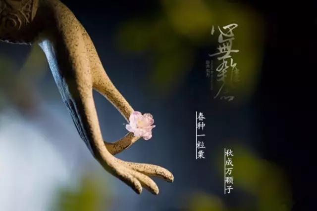 ӡ�ⷨʦ���ճ���������̫����ô�죿