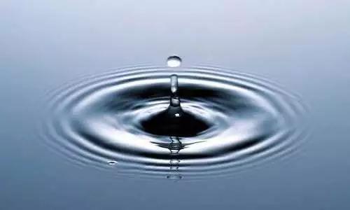 警策_|_修行,不是看你刚开始跑得有多快 警策_|_修行,不是看你刚开始跑得有多快