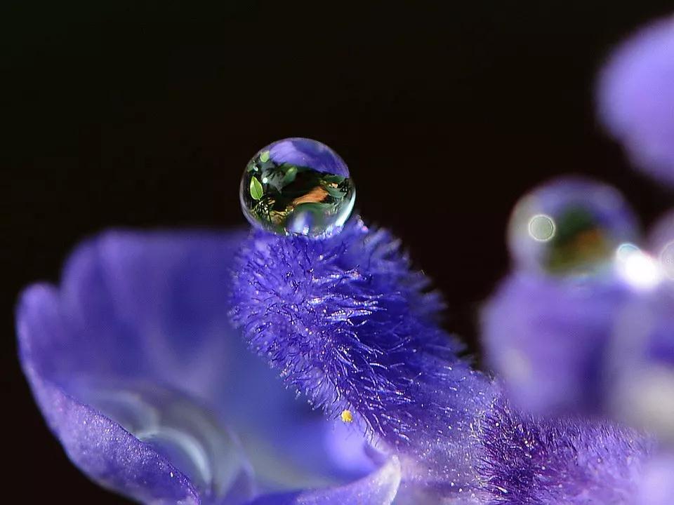 警策_|_修行,不是看你刚开始跑得有多快 警策_|_修行,不是看你刚开始跑得有多快