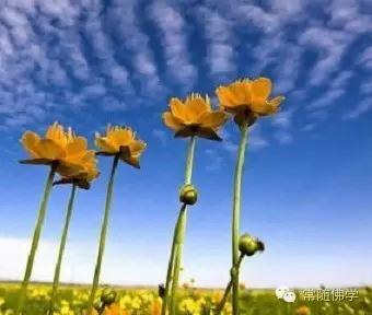 家里有了这些征兆,一定要去阻止! 家里有了这些征兆,一定要去阻止!