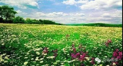 家里有了这些征兆,一定要去阻止! 家里有了这些征兆,一定要去阻止!