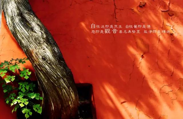 ����_|_������������ȷ��£���