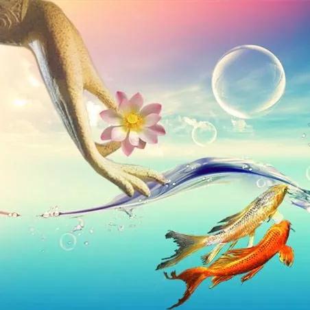 ����_|_����ΪʲôҪ������������Բ���Ľ�𡭡�