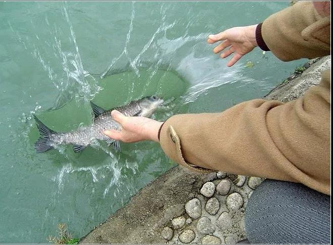 ����_|_����ΪʲôҪ������������Բ���Ľ�𡭡�