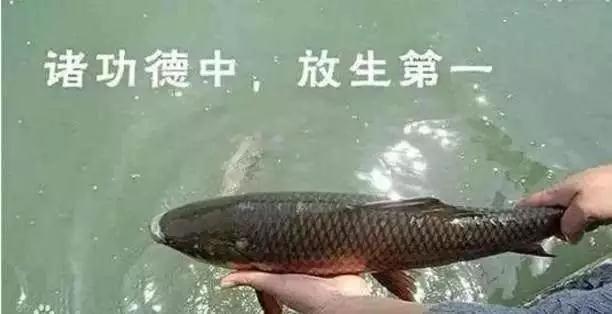 ����_|_����ΪʲôҪ������������Բ���Ľ�𡭡�