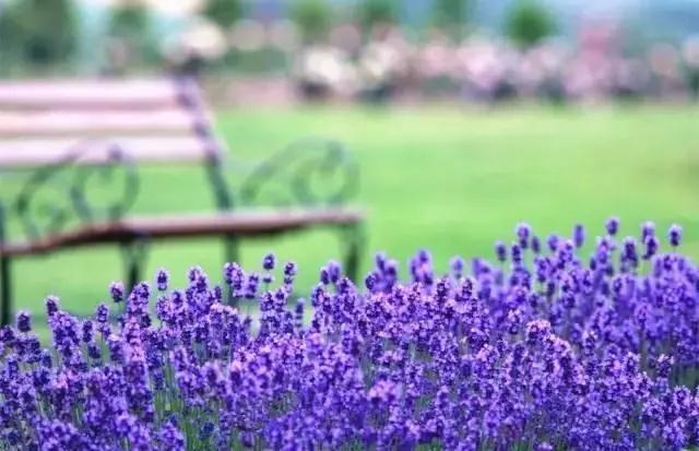 �˵������ã����������£�����������