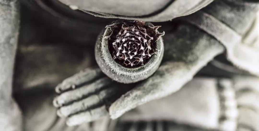 ӡ�ⷨʦ������һ��Ҫ��Ǯ����������