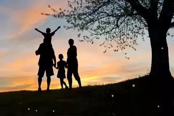 �Ҹ��ļ�ͥ����������������ϣ����ǲ����Դ�