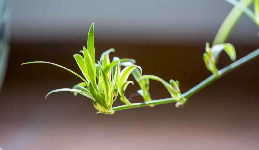 ����_|_����ʮ�ָ�����Ҳֻ��������