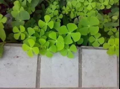 ������Դ�ڷŲ���