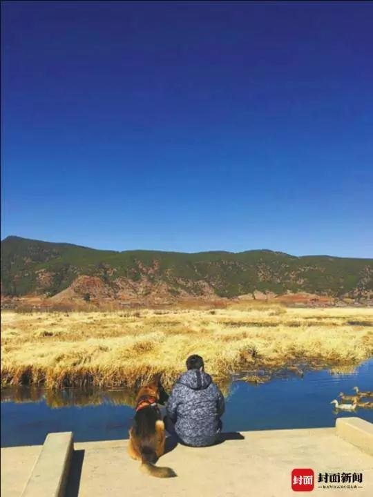 它在汶川地震中救出15人,退休后战友带它回家养老 它在汶川地震中救出15人,退休后战友带它回家养老