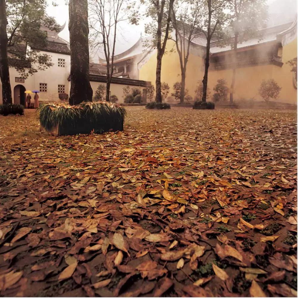 ҵ����������ֱ��֣�����һ�����Ƿ��Ѿ����㡭��