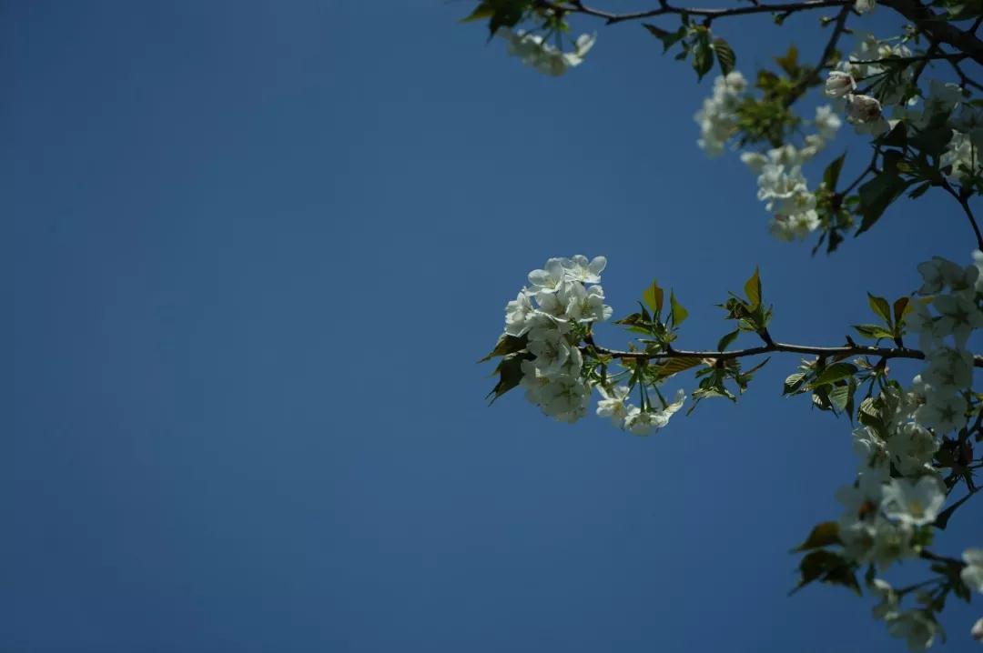 �ǻۺʹȱ��������ʵģ���Զ�����ʱ