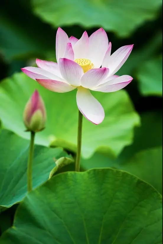 ����_|_Ե��������Ƿ��������