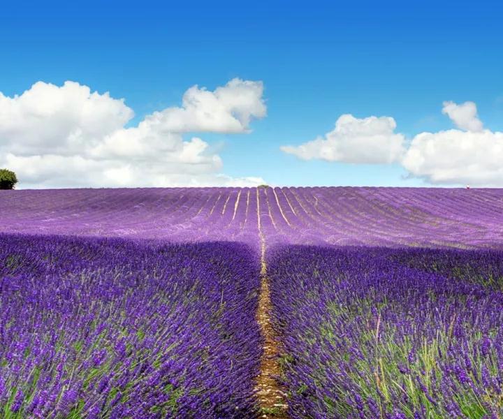 ����_|_��ʶ��Ѭϰ��������_�����������Լ��ķ���ϰ��