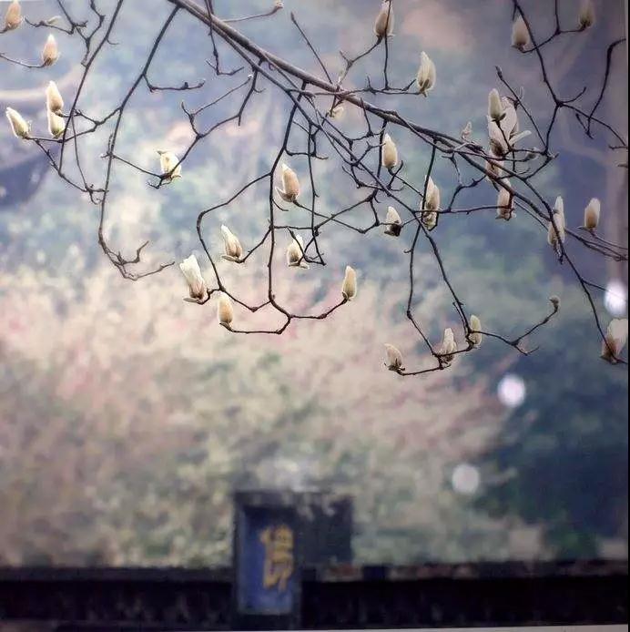 ����_|_������ϲ��������Ը