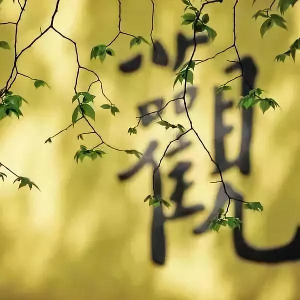 ����_|_������ϲ��������Ը