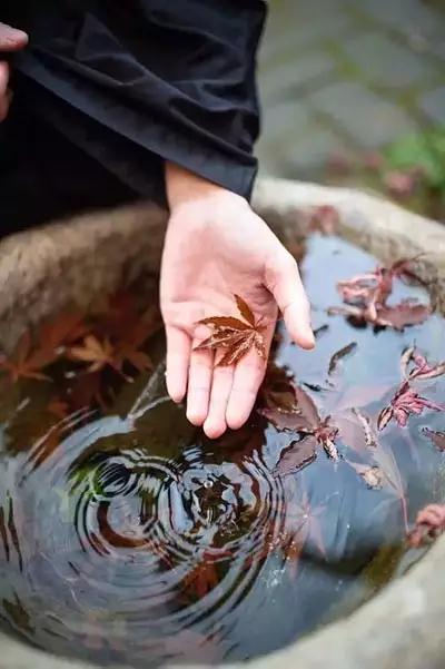 ��Ϊʲôֻ���ǿ����ʾ����