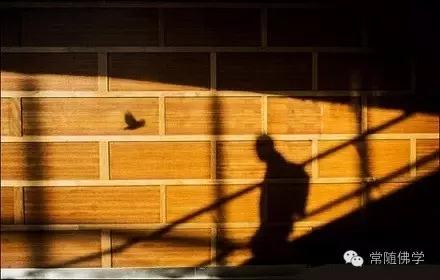 ���ǳԵ������������������й�ϵ