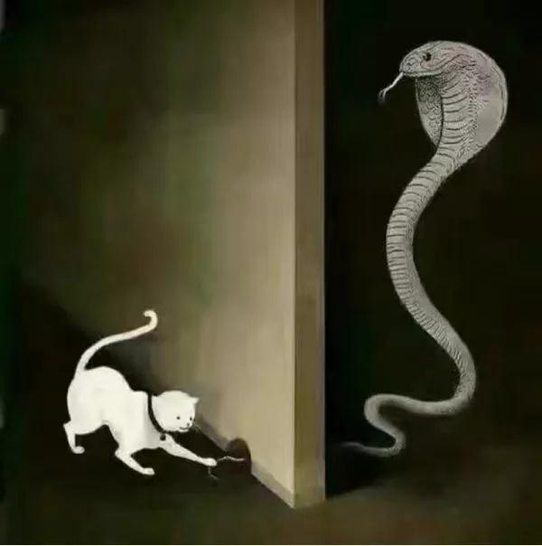 ���˹�����ʵ����ׯ���Լ�