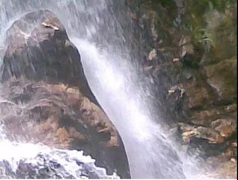 为什么一念佛就妄念很多? 为什么一念佛就妄念很多?