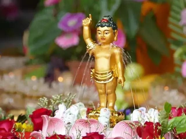 开示_|_释迦牟尼佛降生时九龙吐水为之沐浴,这有什么含义? 开示_|_释迦牟尼佛降生时九龙吐水为之沐浴,这有什么含义?