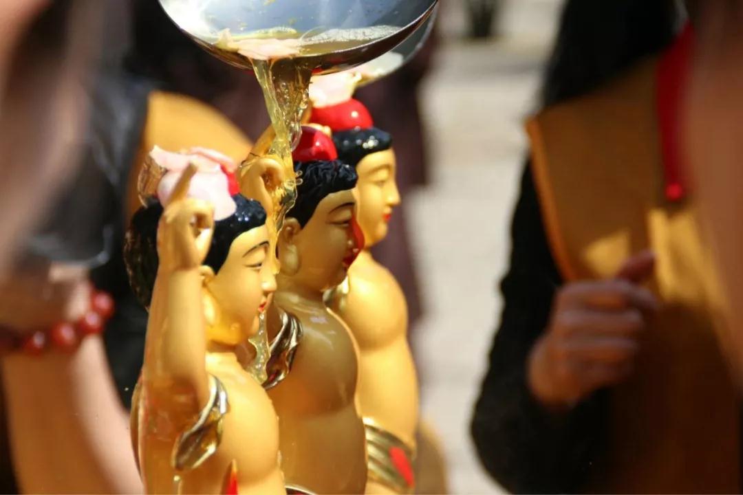 开示_|_释迦牟尼佛降生时九龙吐水为之沐浴,这有什么含义? 开示_|_释迦牟尼佛降生时九龙吐水为之沐浴,这有什么含义?