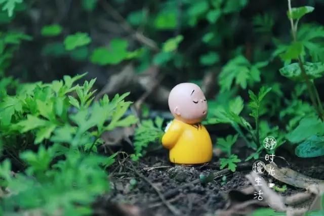 反思_|_一个人如果没有格局,那么比没钱更可怕! 反思_|_一个人如果没有格局,那么比没钱更可怕!