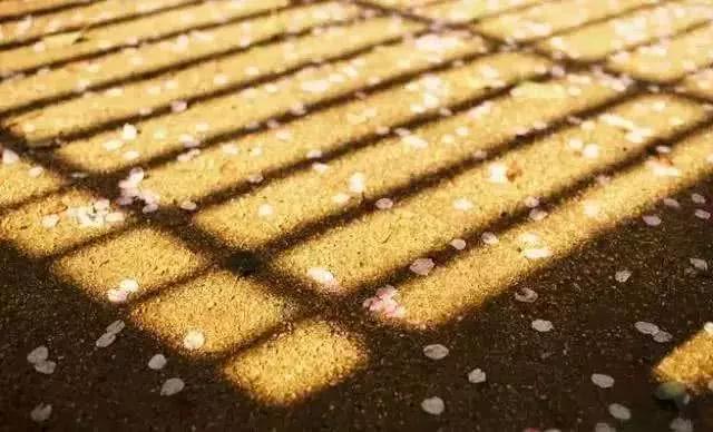 ѧ���Ӧ����һ�������ˡ���