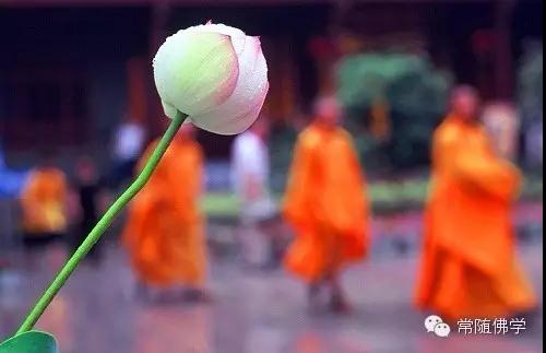 Ҳ���ˡ����ˡ����ˣ����ˣ���ôһ���ö�û����?