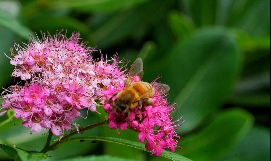 ����_|_�����ϵ�е����ִ���