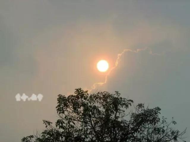 法语棒喝_|_念佛宜早不宜迟 法语棒喝_|_念佛宜早不宜迟