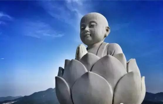 �βη�ʦ��Ϊʲô����̫����Ӧ���ÿ죿