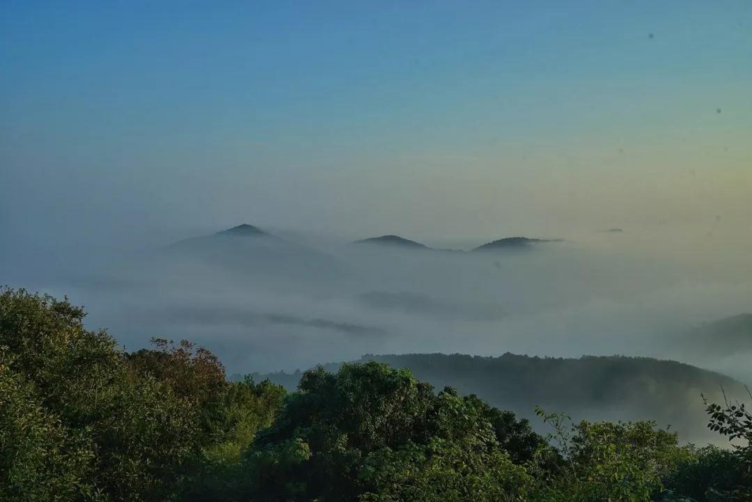 Ϊ������������˳�۵��ˣ�