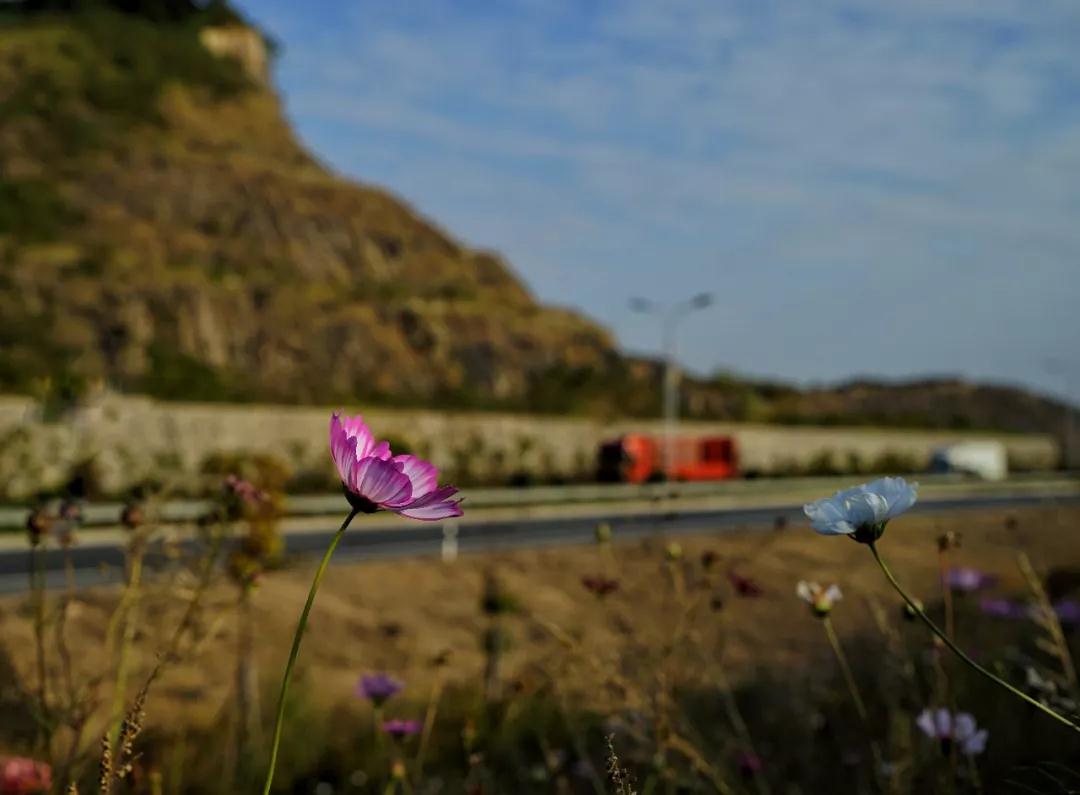 Ϊ������������˳�۵��ˣ�