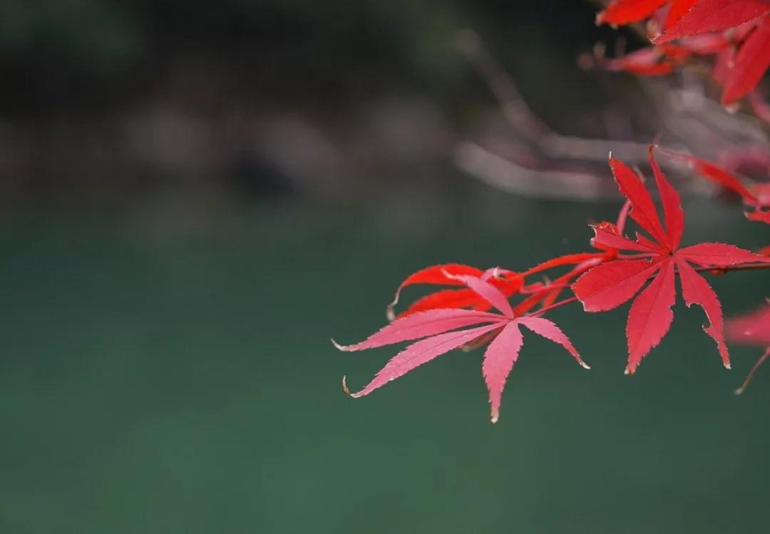 Ϊ������������˳�۵��ˣ�