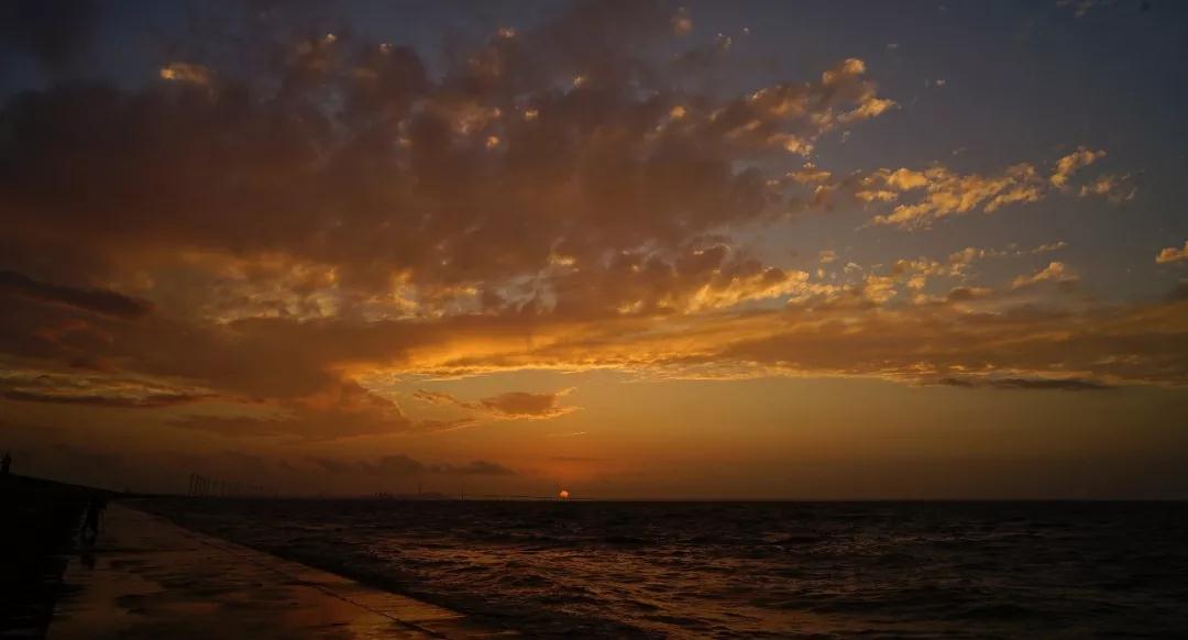 Ϊ������������˳�۵��ˣ�