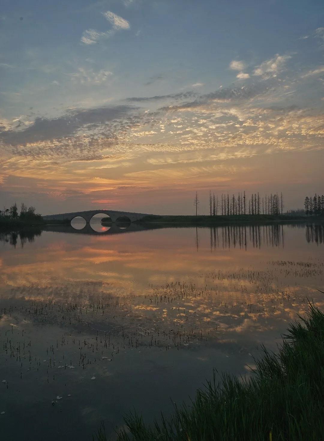 Ϊ������������˳�۵��ˣ�