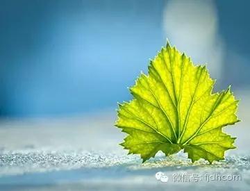 ����Ƶ����ʹ��_ԭ��ʹ��Ҳ������Ϸ