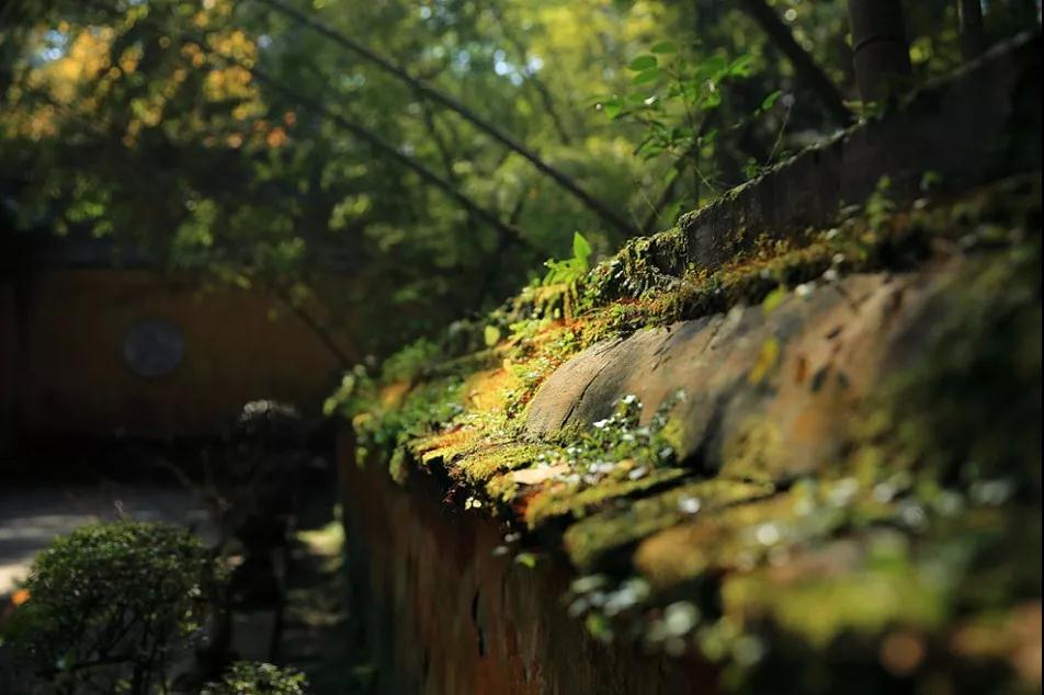 ���ĳ����ˣ��㷢�����������Ե÷ǳ������ʺ�г